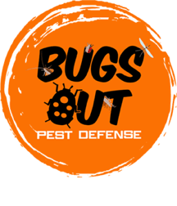 bugsout logo