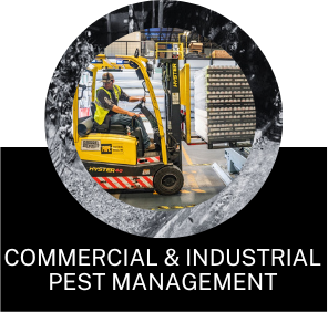 commercial-and-industrial-pest-management