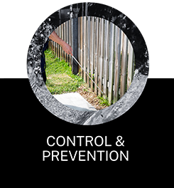 control-and-prevention