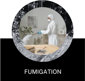 fumigation