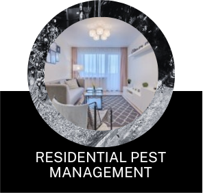 residential-pest-management