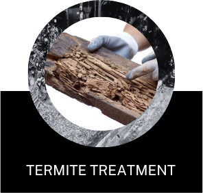 termite-treatment